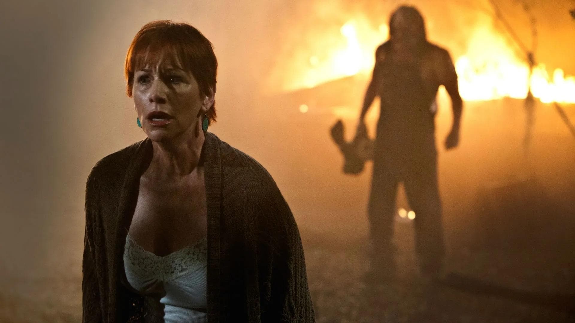 ภาพยนตร์สยองขวัญ-หนังออนไลน?-ดูหนังฝรั่ง-Hatchet 3 (2013)