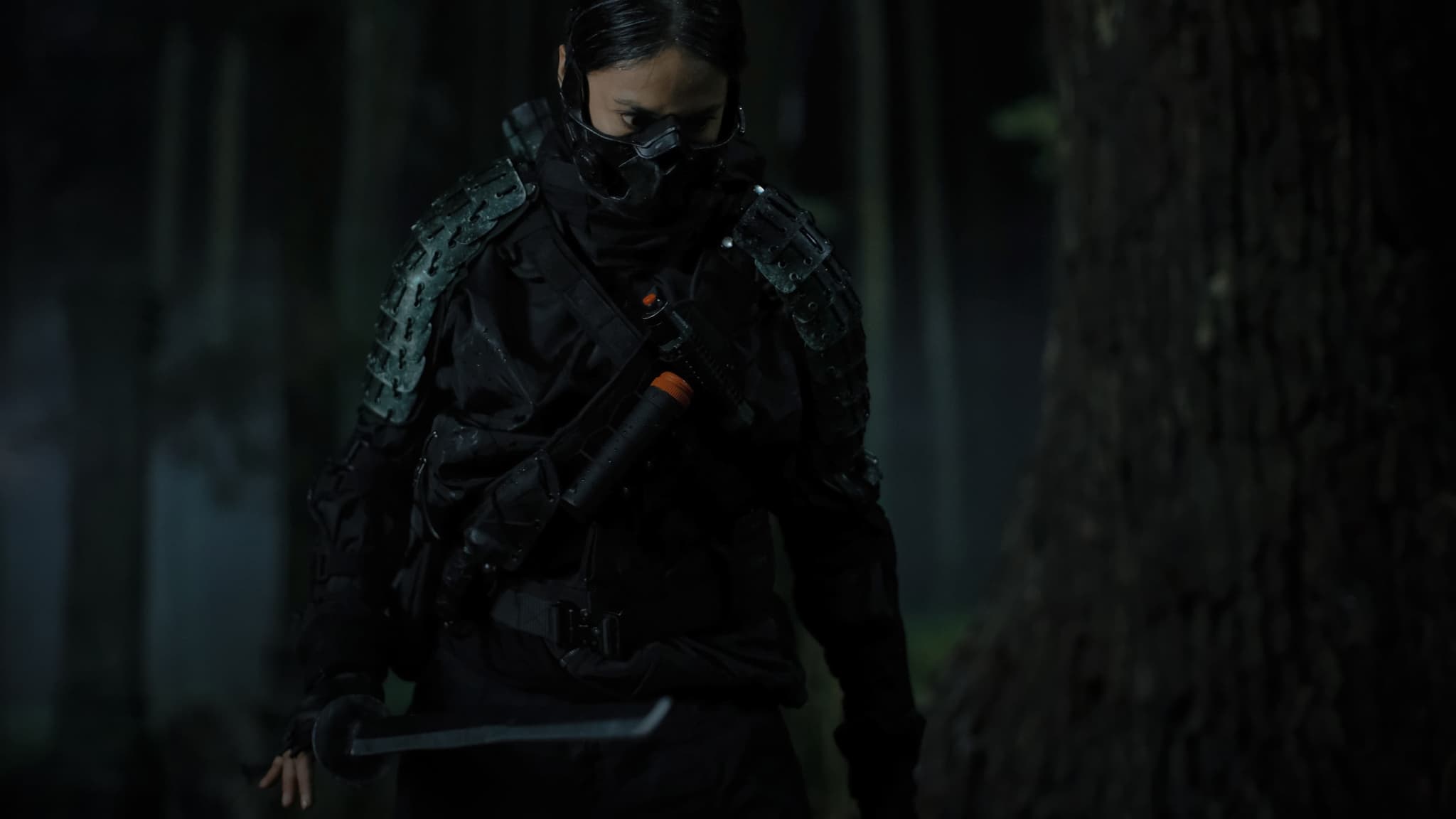 The Shadow Strays (2024) นักฆ่าเงาล่าทรชน