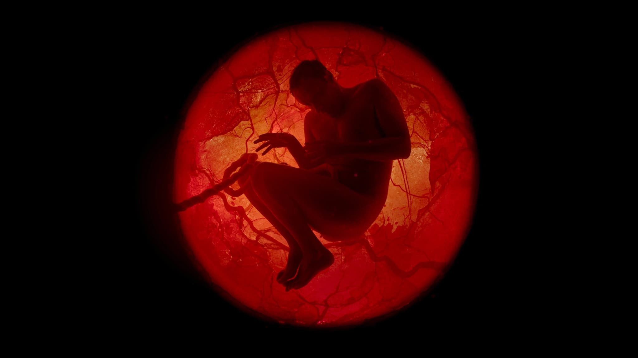 ดูหนังออนไลน์ A Whole Lifetime with Jamie Demetriou (2023) เวลาทั้งชีวิตกับเจมี่ เดเมทรีอู