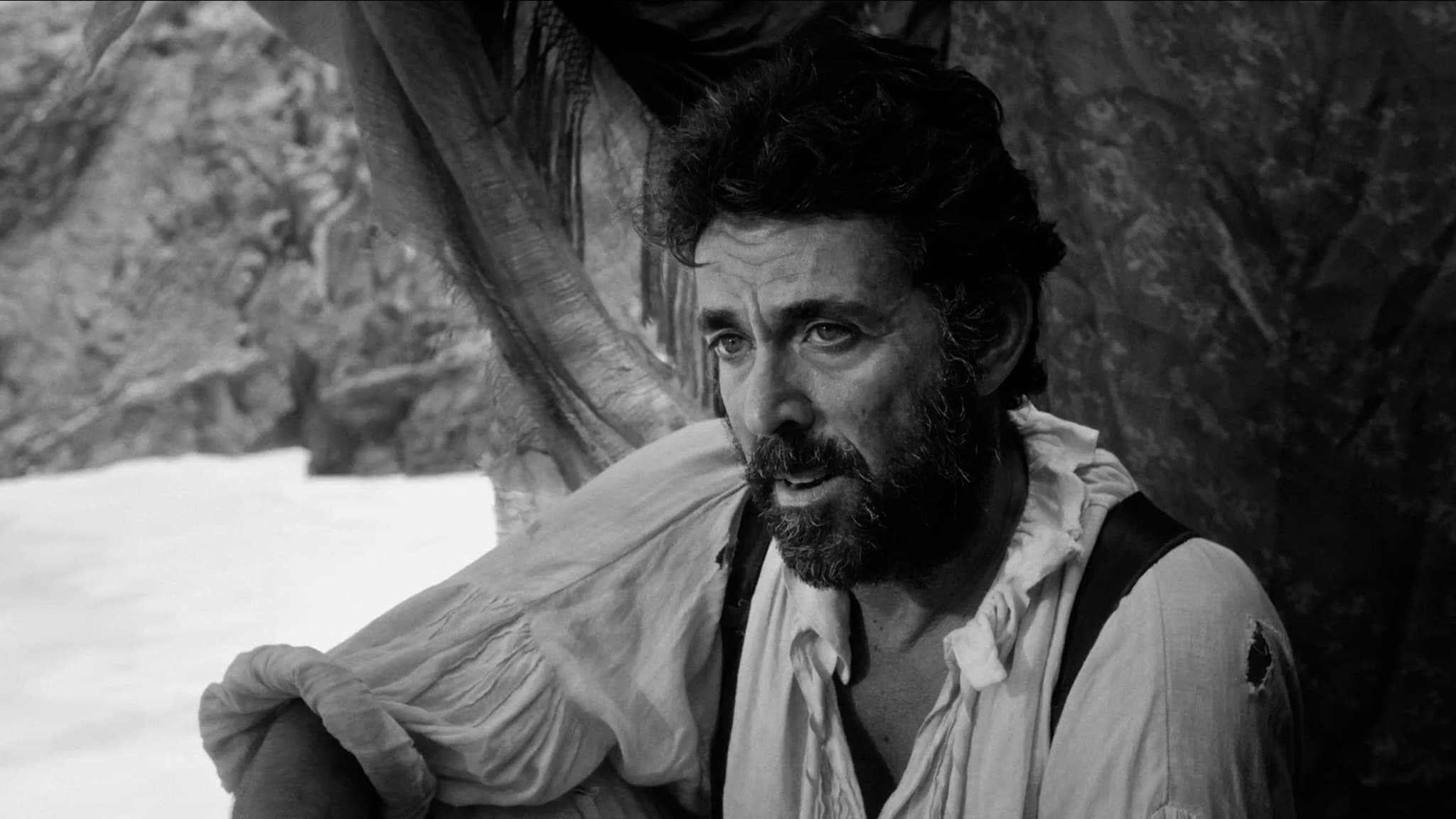 The survivors เหยื่อพายุมืด (2025)