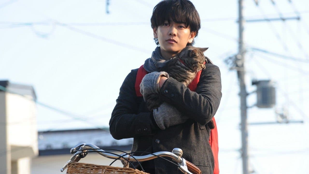 หนังญี่ปุ่น .หนังออนไลน์If Cats Disappeared from the World (2016) ถ้าแมวตัวนั้นหายไปจากโลกนี้