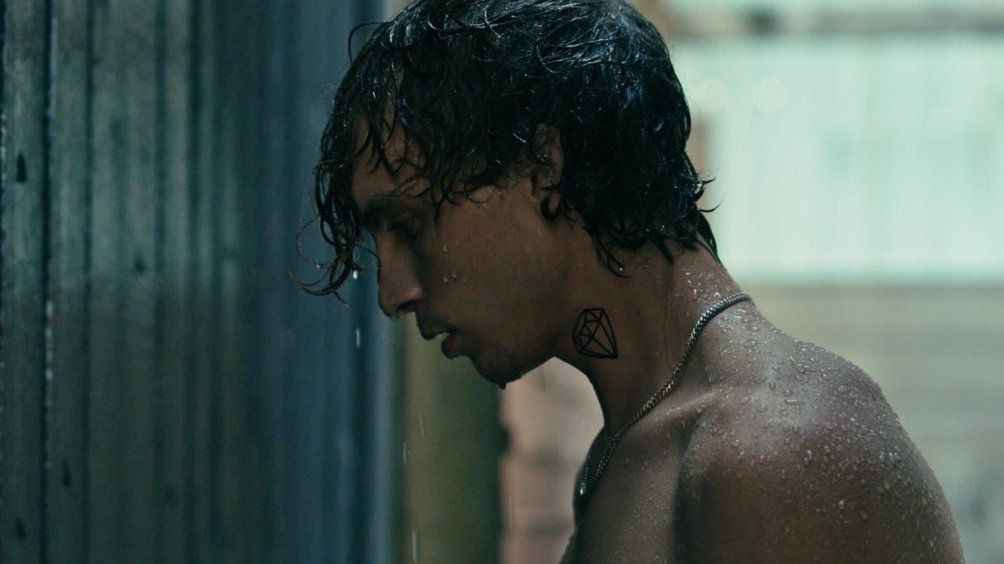 Searching for the Elephant (2024)