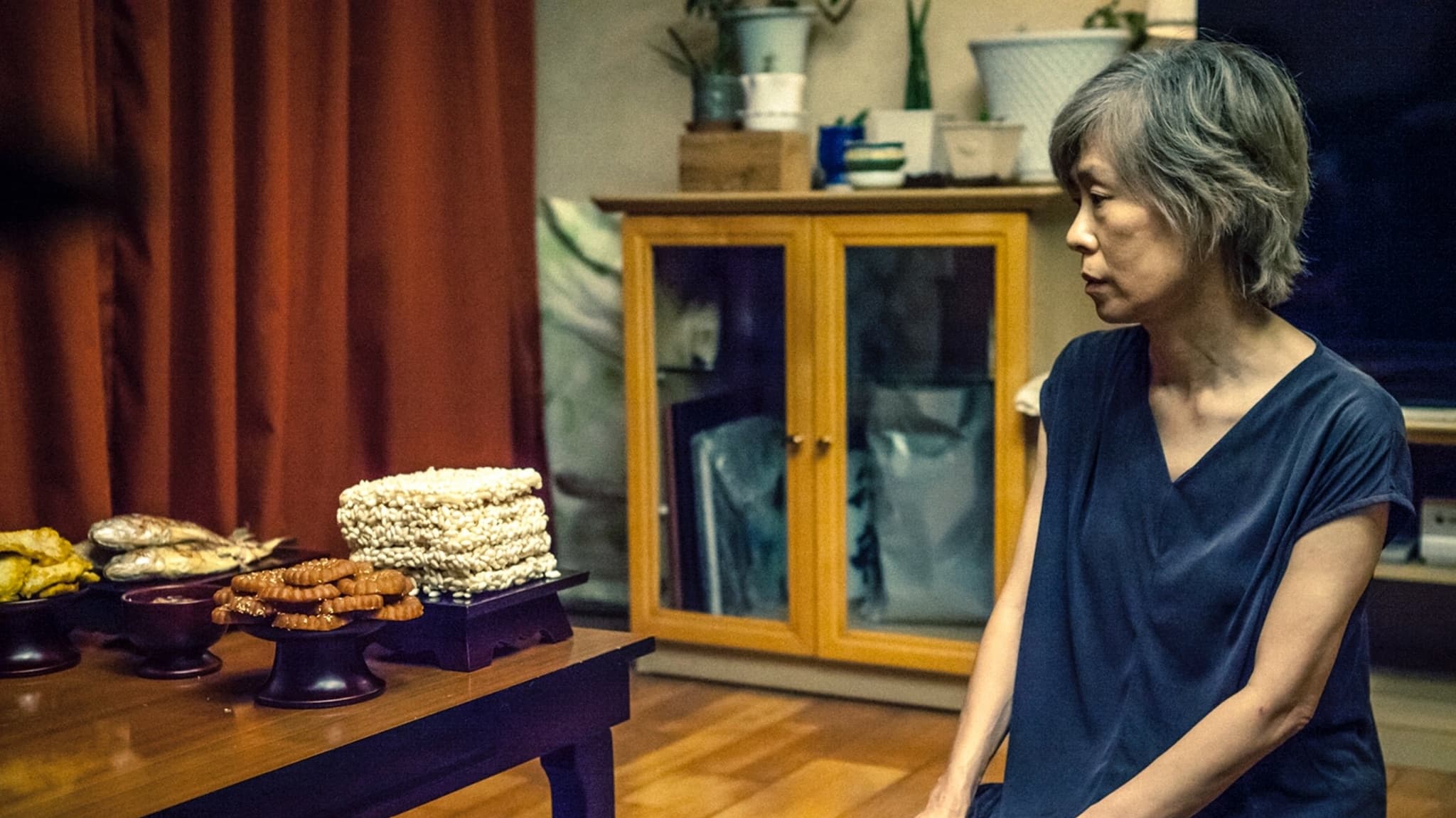 Land of Happiness (2024)