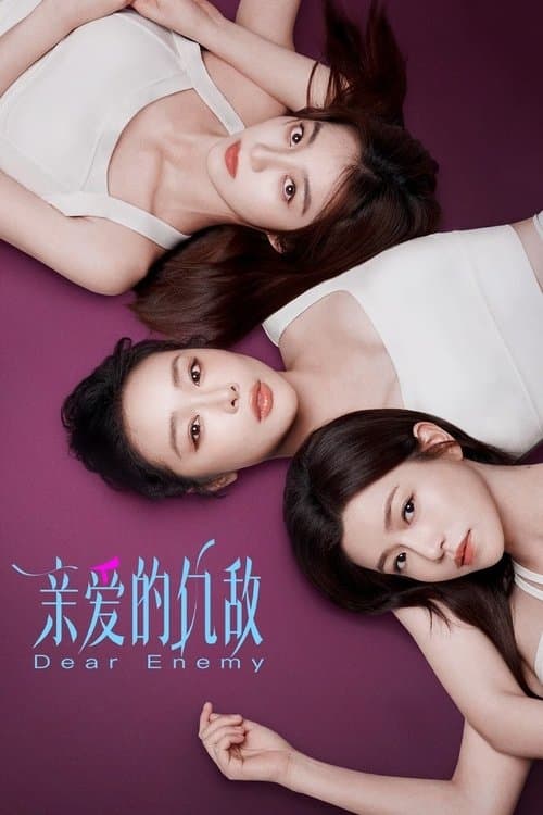 Dear Enemy (2025) คู่รักคู่แค้น