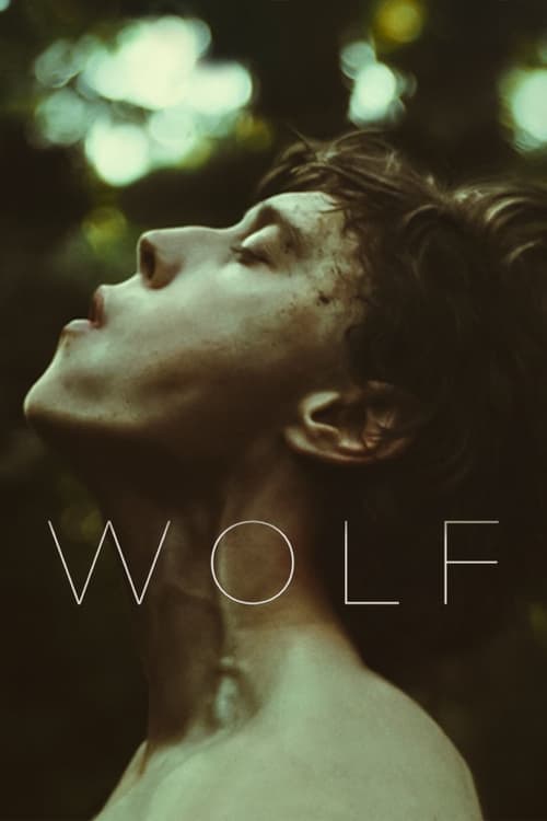 โปสเตอร์หนัง Wolf (2021)