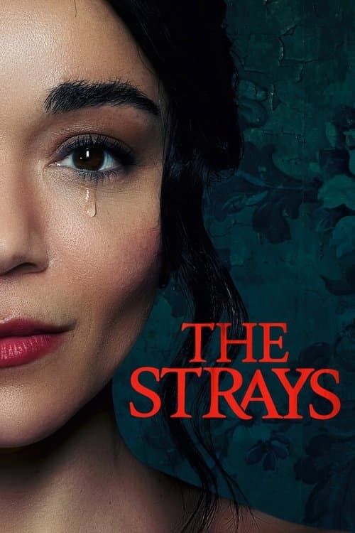 โปสเตอร์หนัง ดูหนังใหม่.The Strays (2023) คนหลงทาง