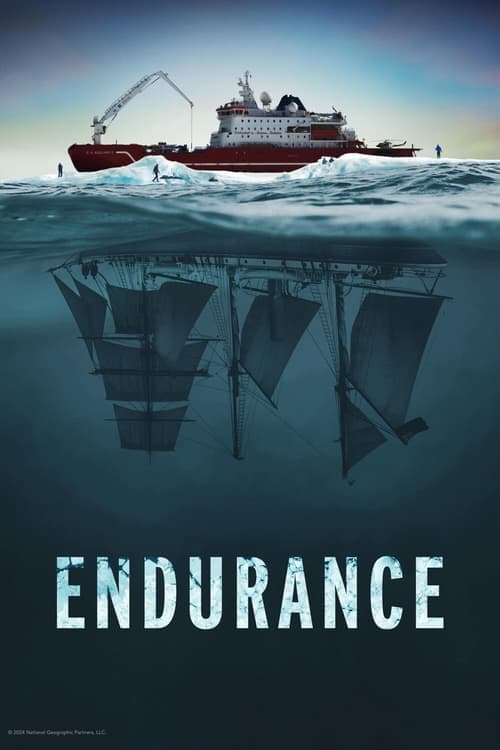 โปสเตอร์หนัง Endurance (2024)