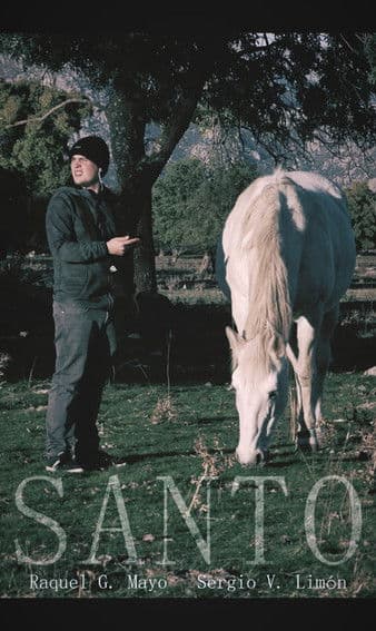 โปสเตอร์หนัง Santo ซานโต้