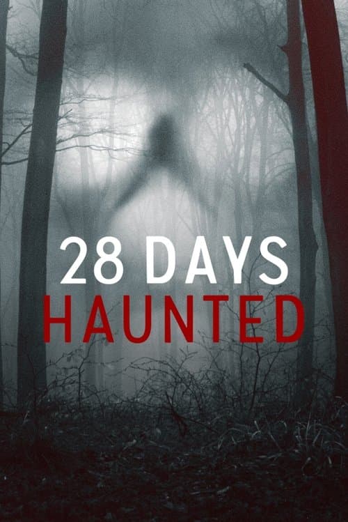 โปสเตอร์หนัง 28 Days Haunted หลอน 28 วัน