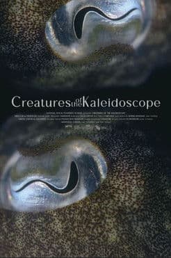โปสเตอร์หนัง Kaleidoscope (2023)