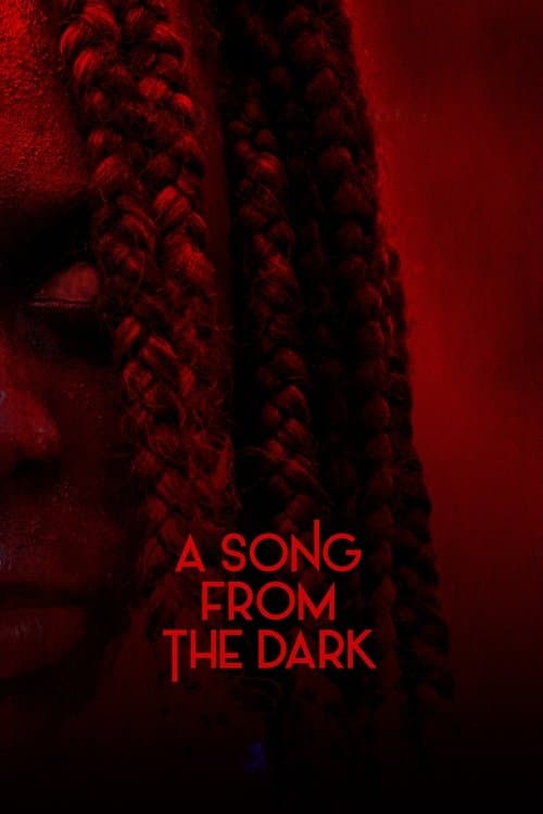 โปสเตอร์หนัง A Song from the Dark (2024)