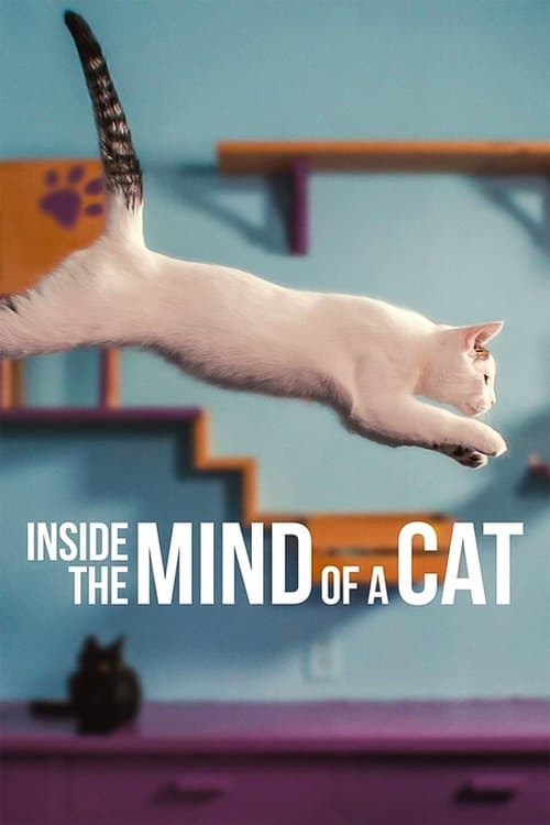 โปสเตอร์หนัง Inside the Mind of a Cat (2022) คิดแบบแมวๆ