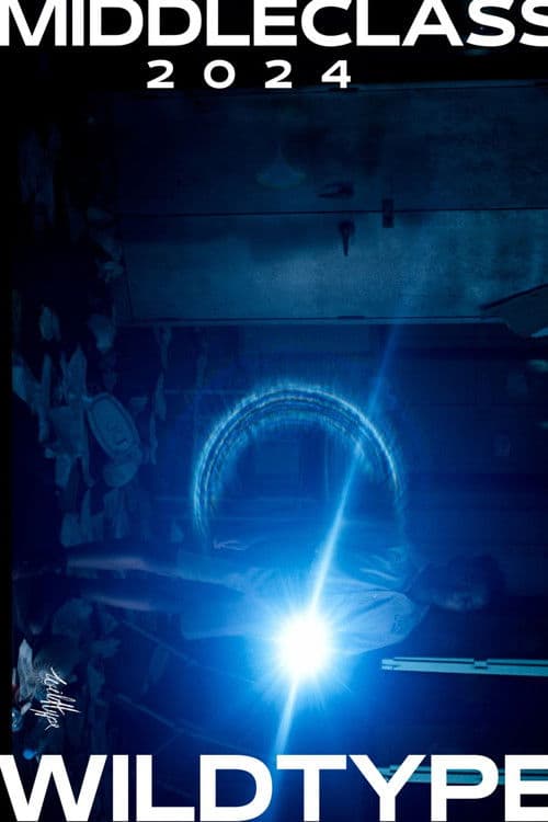 โปสเตอร์หนัง ดูหนังออนไลน์2024..ดูหนังสงคราม เรื่อง Wil (2024) วิล