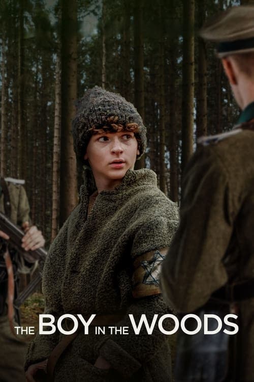 โปสเตอร์หนัง The Boy in the Woods (2024)