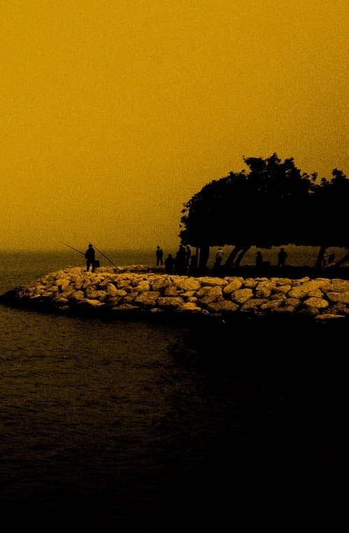 SEE THE SEA (2022) ปริศนาทะเลลึก