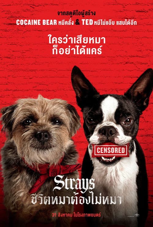 โปสเตอร์หนัง หนังออนไลน์.หนังใหม่ฝรั่ง.Strays (2023)