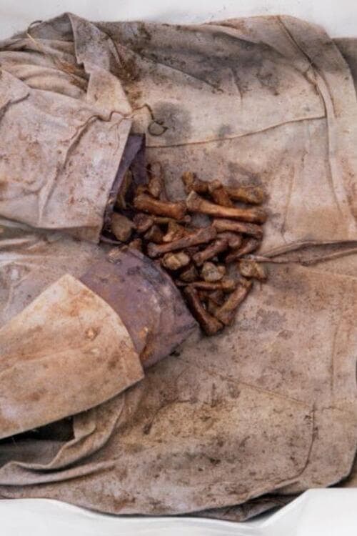 โปสเตอร์หนัง Exhuma (2024) ขุดมันขึ้นมาจากหลุม