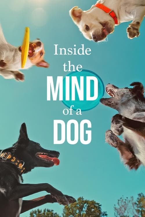 โปสเตอร์หนัง Inside the Mind of a Dog (2024) อ่านใจสุนัข