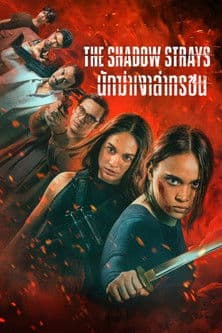 โปสเตอร์หนัง The Shadow Strays (2024) นักฆ่าเงาล่าทรชน