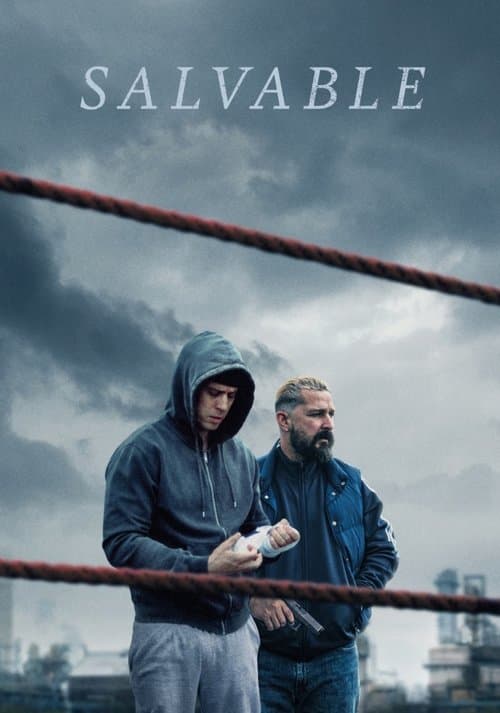 โปสเตอร์หนัง Salvable (2025)