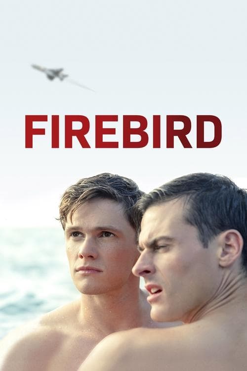 โปสเตอร์หนัง Firebird (2021) ไฟร์เบิร์ด