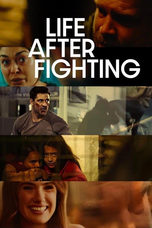 โปสเตอร์หนัง Life After Fighting (2024)
