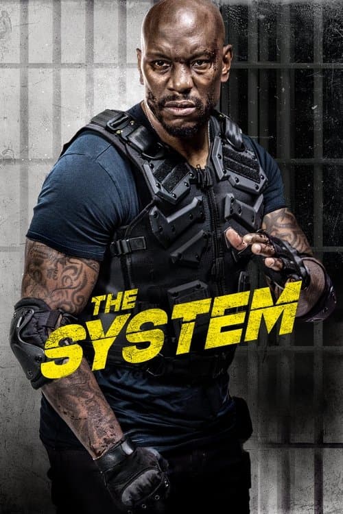 โปสเตอร์หนัง The System (2022)