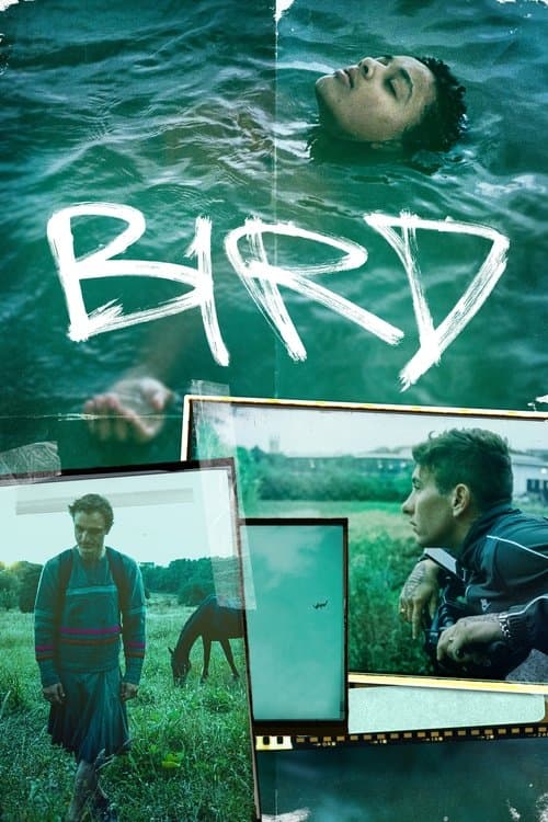 โปสเตอร์หนัง Bird (2024) เบิร์ด