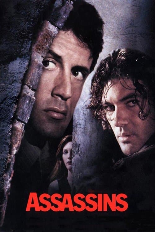 โปสเตอร์หนัง Assassins (1995) มหาประลัยตัดมหาประลัย