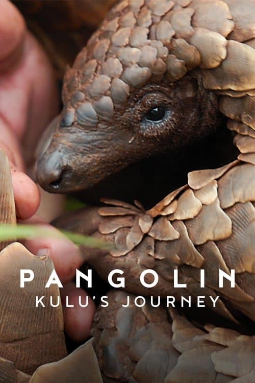 โปสเตอร์หนัง Pangolin: Kulu's Journey (2025) การเดินทางของคูลู
