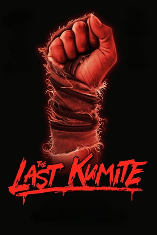 โปสเตอร์หนัง The Last Kumite (2024)