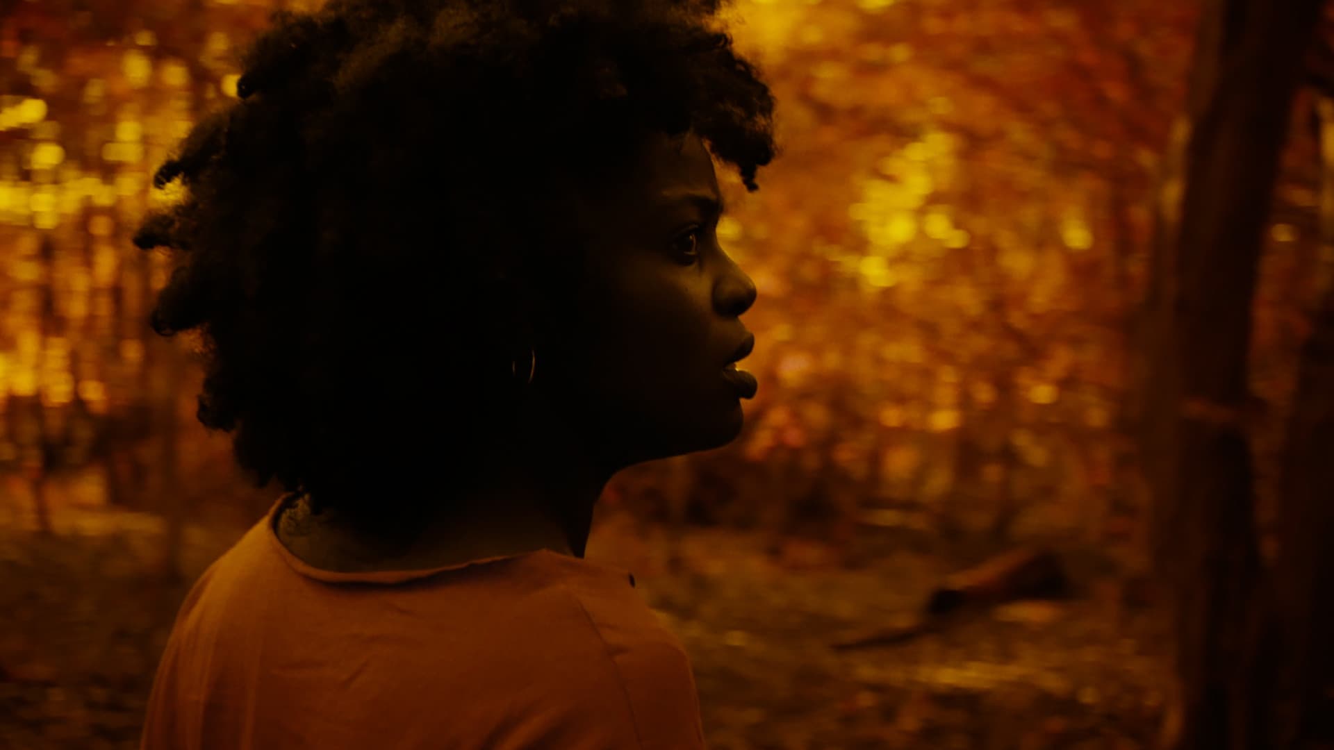 A Song from the Dark (2024)