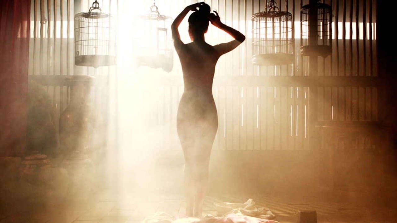 Portrait of A Beauty (2008) เปลือยรัก วังต้องห้าม