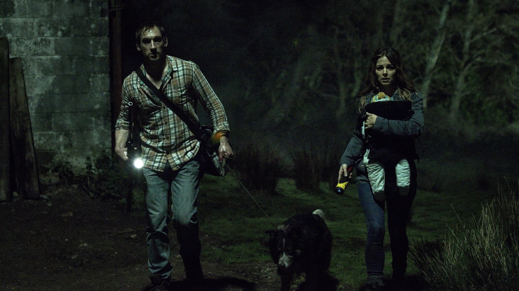 The Hallow (2015) ฮาลโล มันตามมาจากป่า