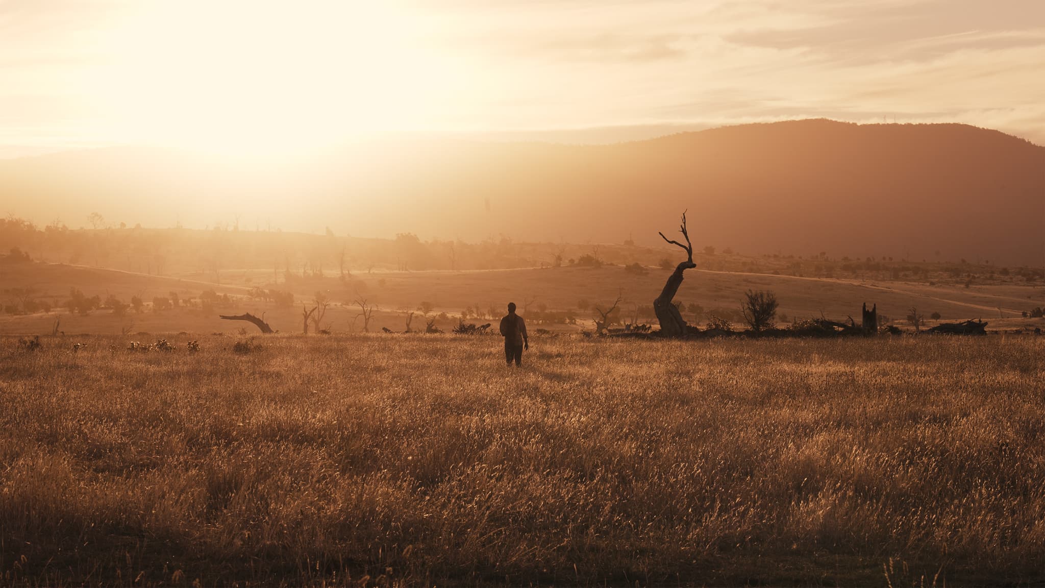 หนังใหม่ดูฟรี,หนังเต็มเรื่อง,Beaten to Death (2022)