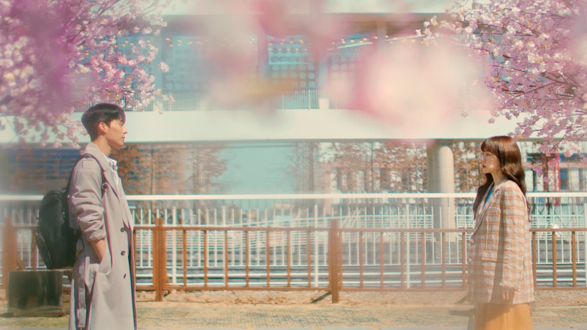 Search: WWW เสิร์ชรัก ตามหัวใจ