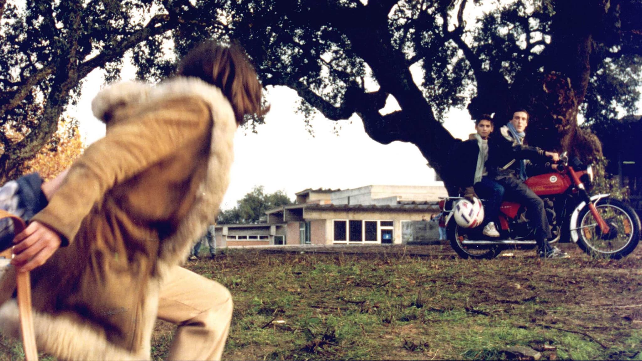 Gloria (1999) ใจเธอแน่... กล้าแหย่เจ้าพ่อ