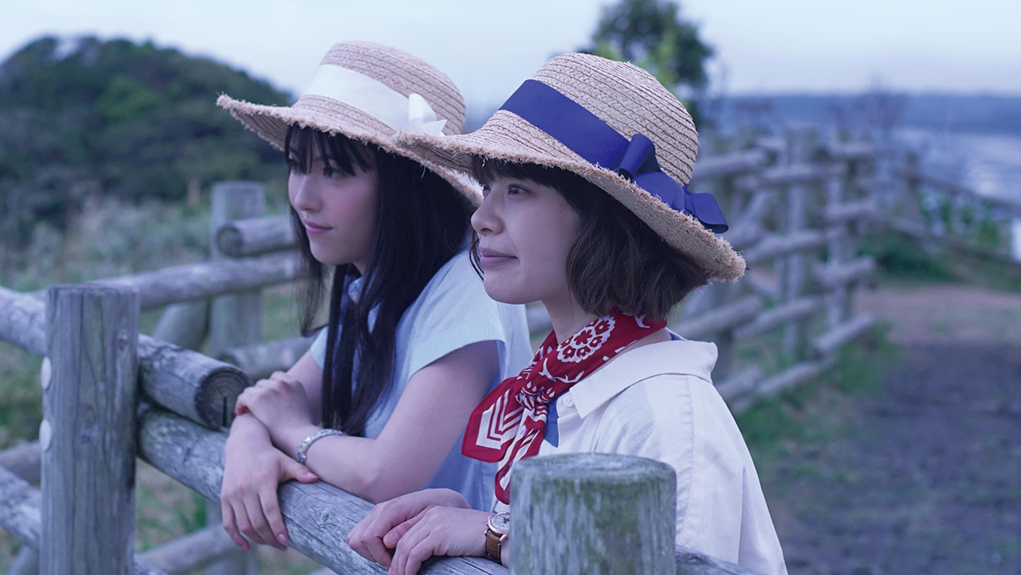 ดูหนังญี่ปุ่น One Day You Will Reach the Sea (2022)