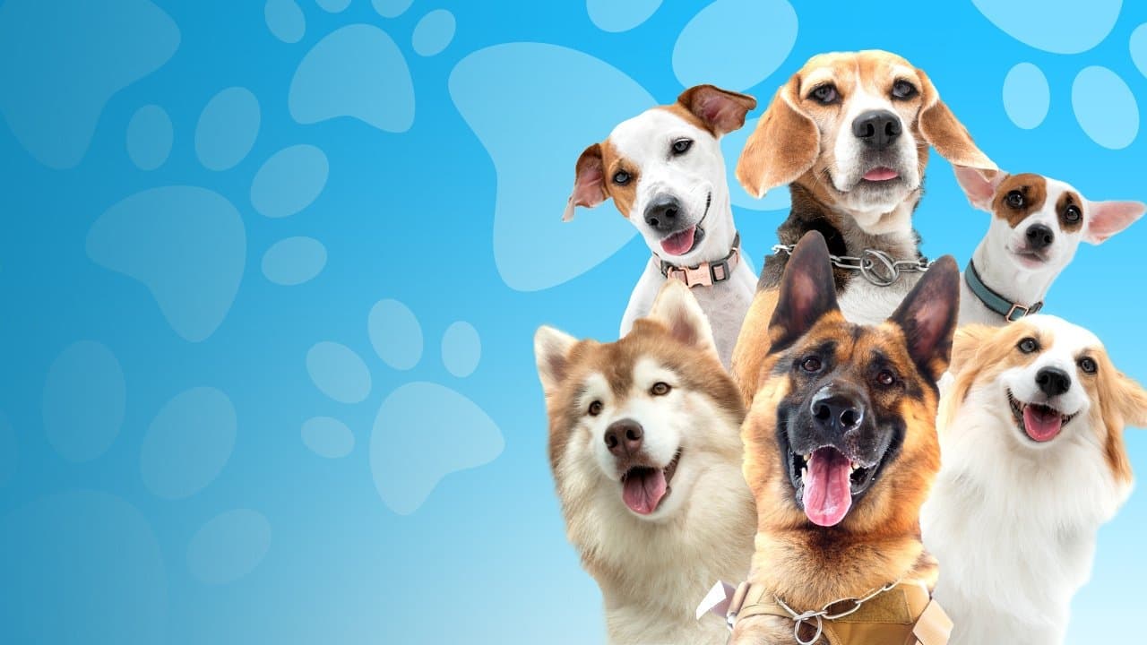 Darkdog Lockdown (2023) คุณตูบสายดาร์ก ปิดเมืองกัด