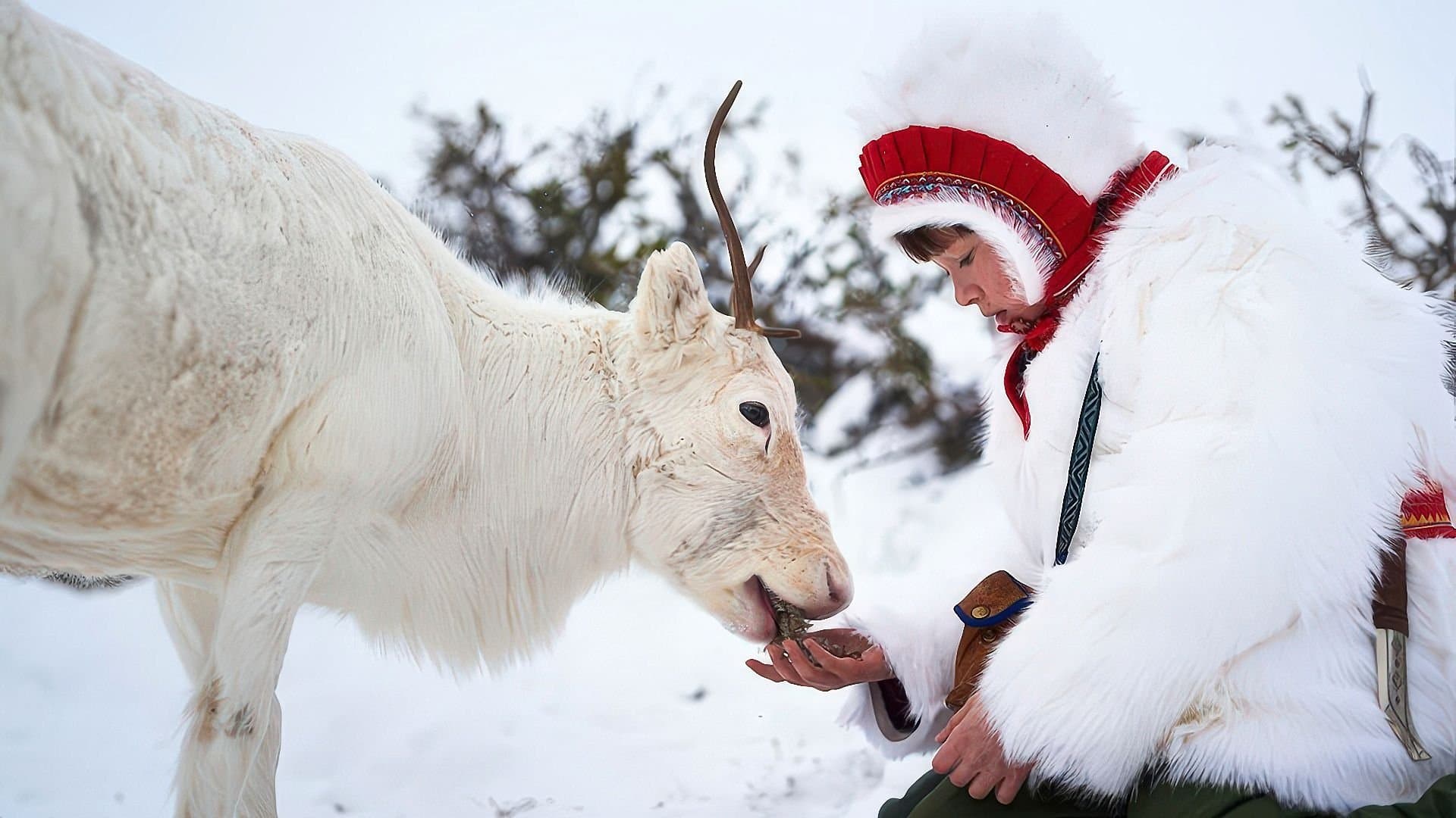 Stolen (2024) พราก