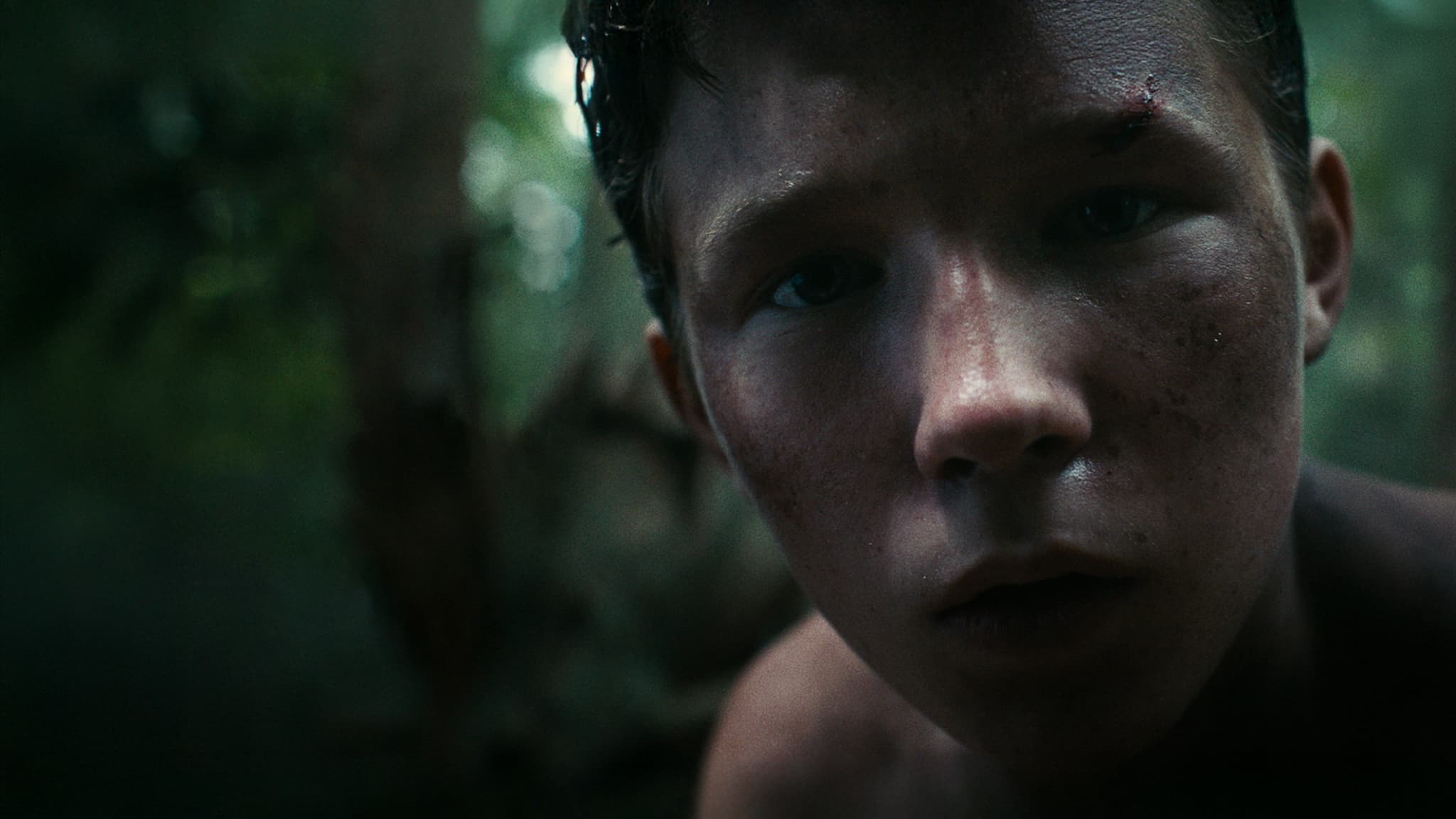 Lost on a Mountain in Maine (2024)