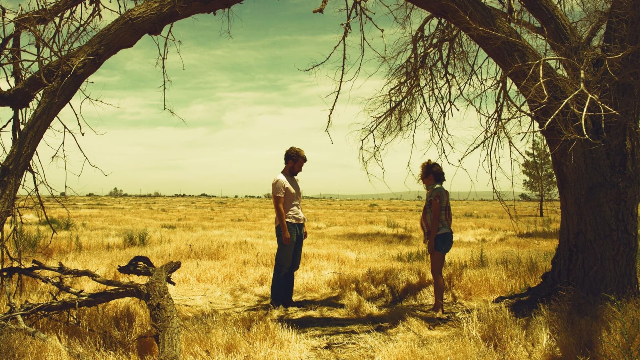 หนังออนไลน์.หนังฝรั่ง.The Obscured (2022)