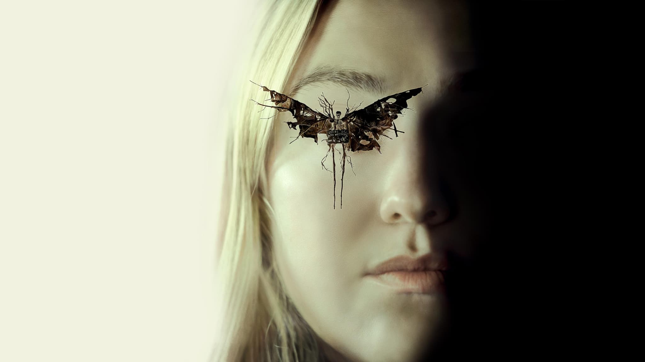 The Watchers (2024) เดอะวอทเชอร์ส