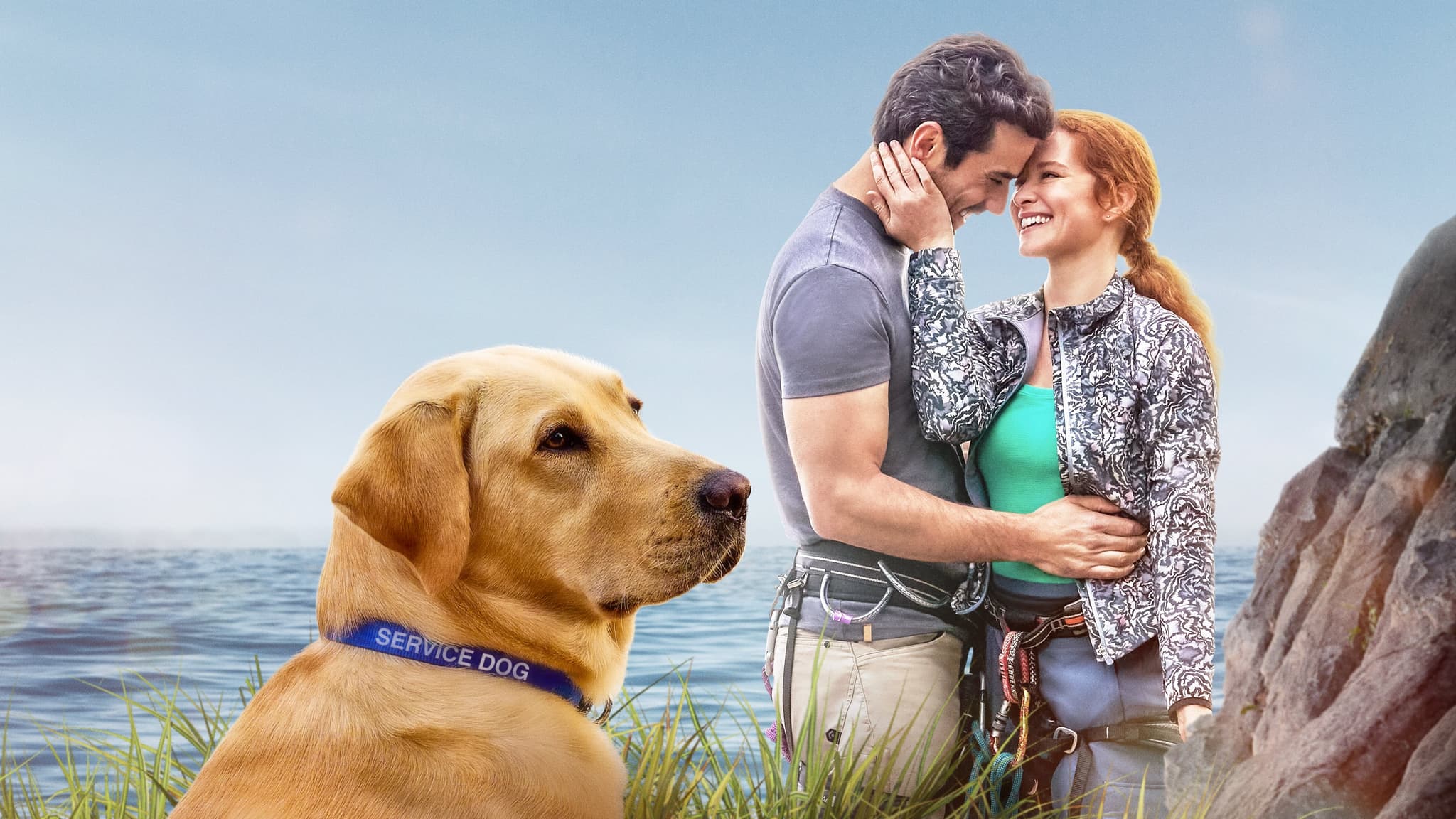 หนังออนไลน์.หนังใหม่ดูฟรี.เว็บไซร์ดูหนัง:Guiding Emily (2023)